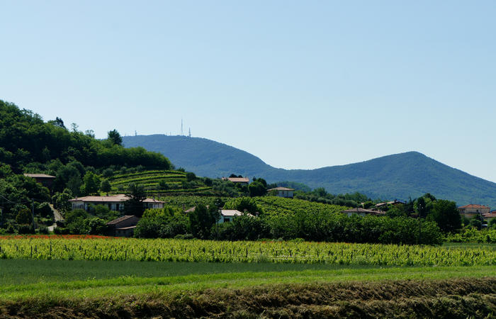 Colli Euganei, giro cicloturistico settore nord-ovest, Bastia Rovolon Bagnara Vo Carbonara