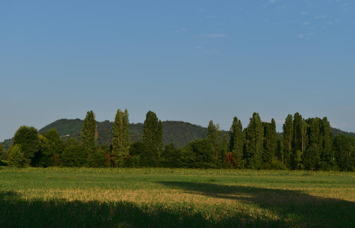 Colli Euganei campagna euganea fiume Bacchiglione, giro cicloturistico Monteortone Monterosso Castello San Martino dela Vaneza Cervarese Santa Croce Praglia