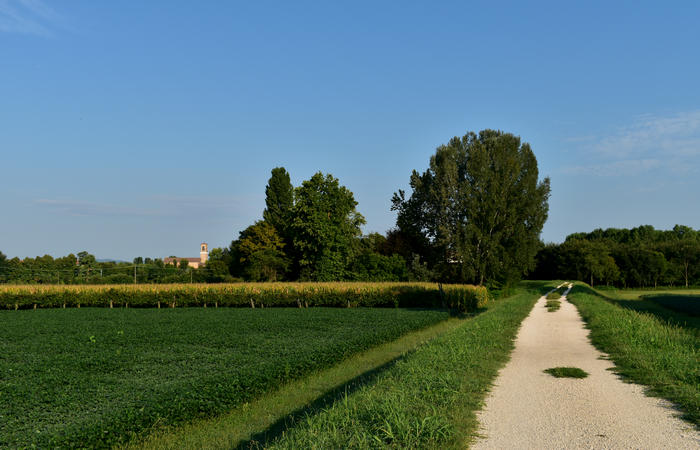 Colli Euganei campagna euganea fiume Bacchiglione, giro cicloturistico Monteortone Monterosso Castello San Martino dela Vaneza Cervarese Santa Croce Praglia