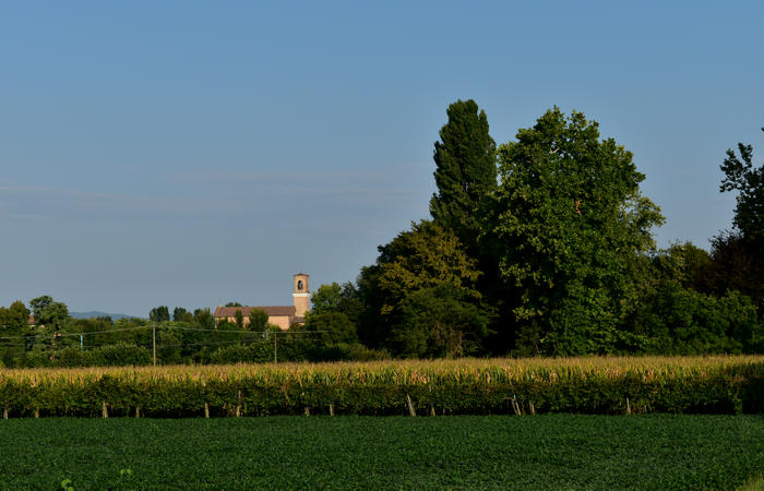 Colli Euganei campagna euganea fiume Bacchiglione, giro cicloturistico Monteortone Monterosso Castello San Martino dela Vaneza Cervarese Santa Croce Praglia