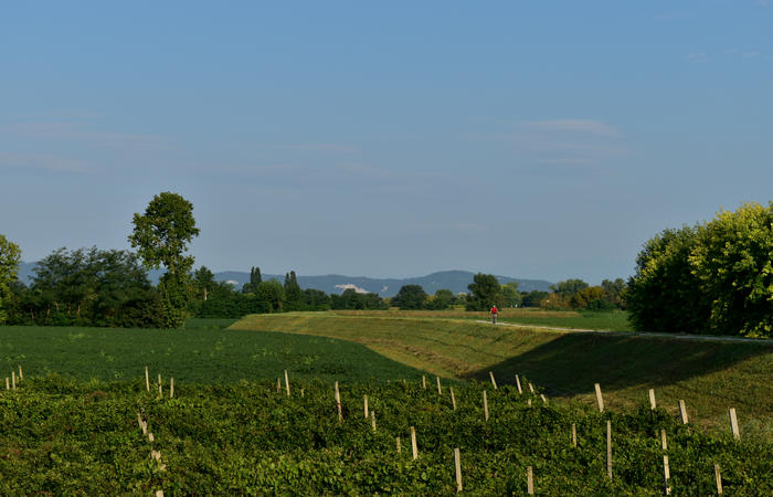 Colli Euganei campagna euganea fiume Bacchiglione, giro cicloturistico Monteortone Monterosso Castello San Martino dela Vaneza Cervarese Santa Croce Praglia