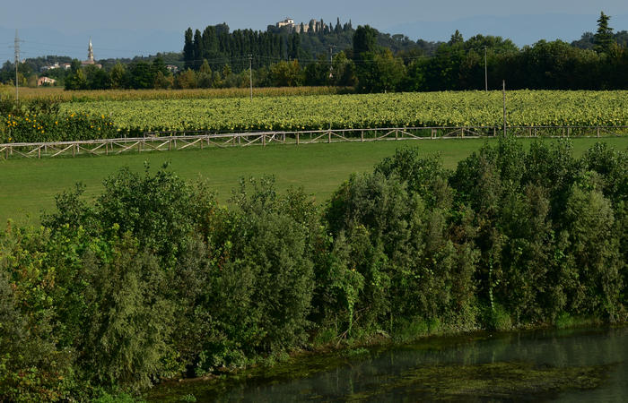 Colli Euganei campagna euganea fiume Bacchiglione, giro cicloturistico Monteortone Monterosso Castello San Martino dela Vaneza Cervarese Santa Croce Praglia
