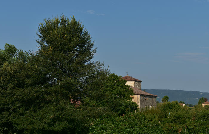 Colli Euganei campagna euganea fiume Bacchiglione, giro cicloturistico Monteortone Monterosso Castello San Martino dela Vaneza Cervarese Santa Croce Praglia
