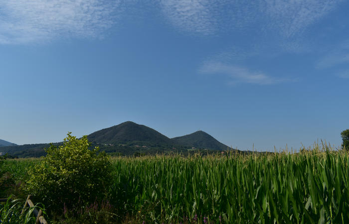 Colli Euganei campagna euganea fiume Bacchiglione, giro cicloturistico Monteortone Monterosso Castello San Martino dela Vaneza Cervarese Santa Croce Praglia
