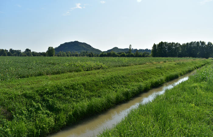 Colli Euganei campagna euganea fiume Bacchiglione, giro cicloturistico Monteortone Monterosso Castello San Martino dela Vaneza Cervarese Santa Croce Praglia