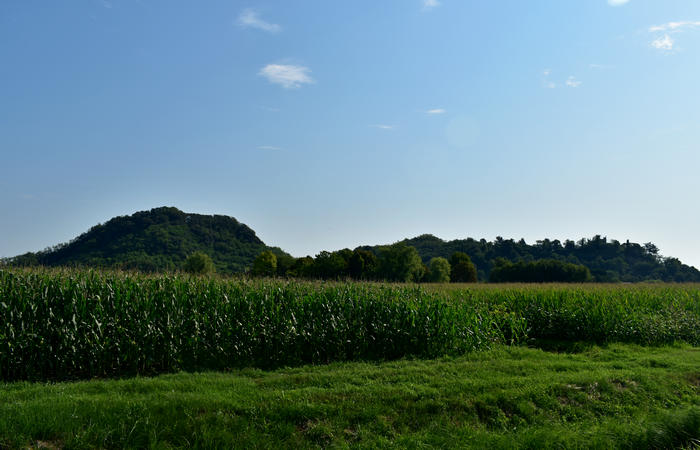 Colli Euganei campagna euganea fiume Bacchiglione, giro cicloturistico Monteortone Monterosso Castello San Martino dela Vaneza Cervarese Santa Croce Praglia