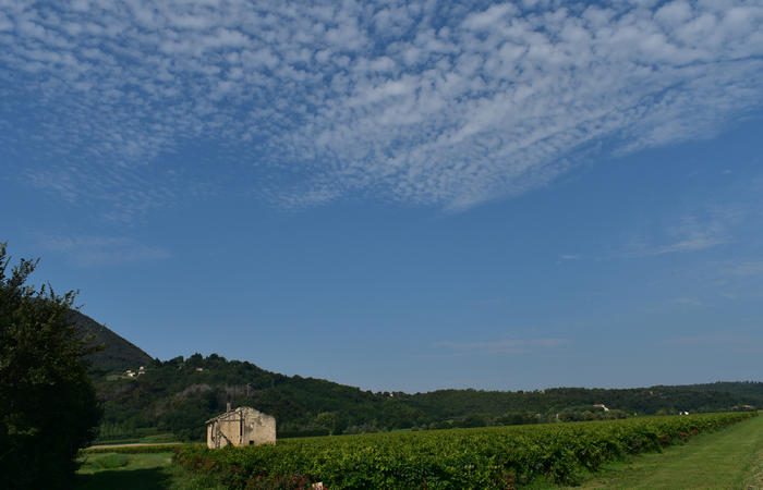 Colli Euganei campagna euganea fiume Bacchiglione, giro cicloturistico Monteortone Monterosso Castello San Martino dela Vaneza Cervarese Santa Croce Praglia
