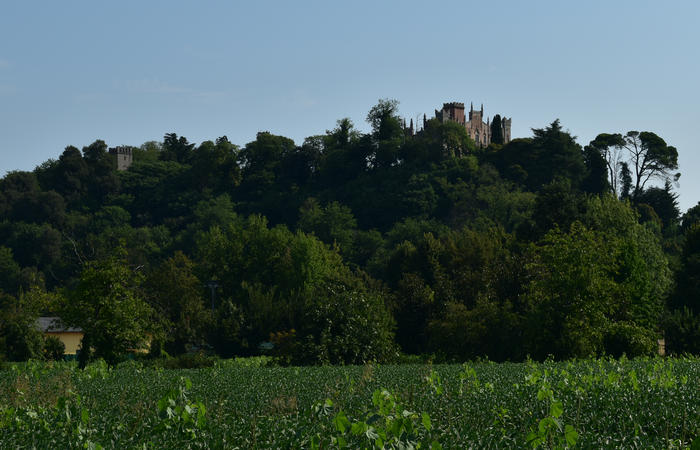 Colli Euganei campagna euganea fiume Bacchiglione, giro cicloturistico Monteortone Monterosso Castello San Martino dela Vaneza Cervarese Santa Croce Praglia