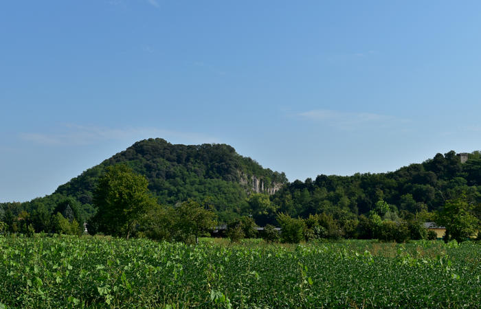 Colli Euganei campagna euganea fiume Bacchiglione, giro cicloturistico Monteortone Monterosso Castello San Martino dela Vaneza Cervarese Santa Croce Praglia