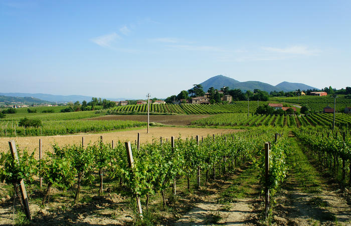 Colli Euganei, giro cicloturistico settore ovest, Vo Valnogaredo Fontanafredda Cinto Euganeo Lozzo Atestino Valbona