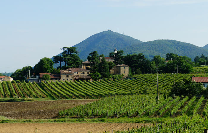 Colli Euganei, giro cicloturistico settore ovest, Vo Valnogaredo Fontanafredda Cinto Euganeo Lozzo Atestino Valbona