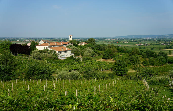 Colli Euganei, giro cicloturistico settore ovest, Vo Valnogaredo Fontanafredda Cinto Euganeo Lozzo Atestino Valbona