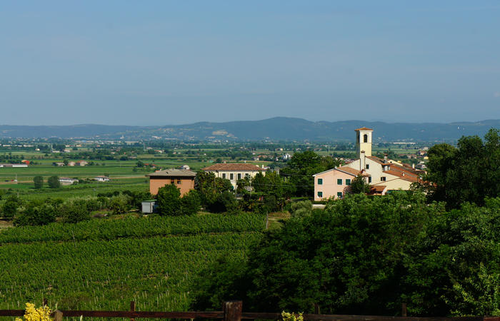 Colli Euganei, giro cicloturistico settore ovest, Vo Valnogaredo Fontanafredda Cinto Euganeo Lozzo Atestino Valbona