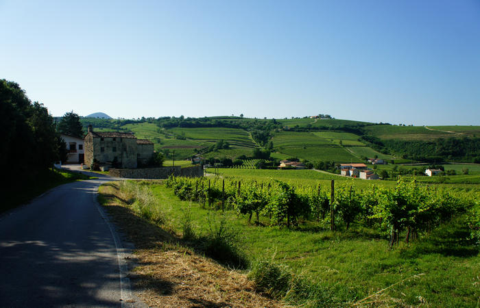 Colli Euganei, giro cicloturistico settore ovest, Vo Valnogaredo Fontanafredda Cinto Euganeo Lozzo Atestino Valbona