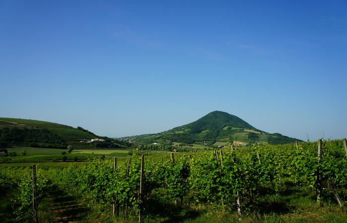 Colli Euganei, giro cicloturistico settore ovest, Vo Valnogaredo Fontanafredda Cinto Euganeo Lozzo Atestino Valbona