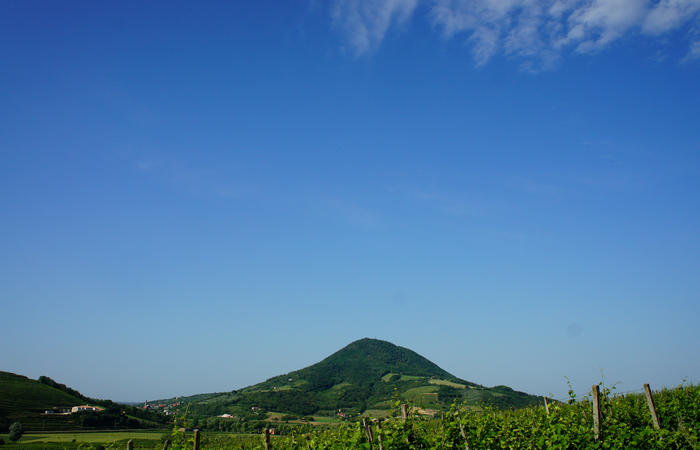 Colli Euganei, giro cicloturistico settore ovest, Vo Valnogaredo Fontanafredda Cinto Euganeo Lozzo Atestino Valbona