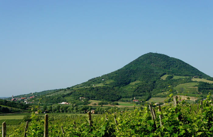 Colli Euganei, giro cicloturistico settore ovest, Vo Valnogaredo Fontanafredda Cinto Euganeo Lozzo Atestino Valbona