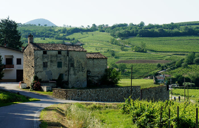 Colli Euganei, giro cicloturistico settore ovest, Vo Valnogaredo Fontanafredda Cinto Euganeo Lozzo Atestino Valbona