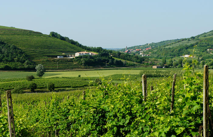 Colli Euganei, giro cicloturistico settore ovest, Vo Valnogaredo Fontanafredda Cinto Euganeo Lozzo Atestino Valbona