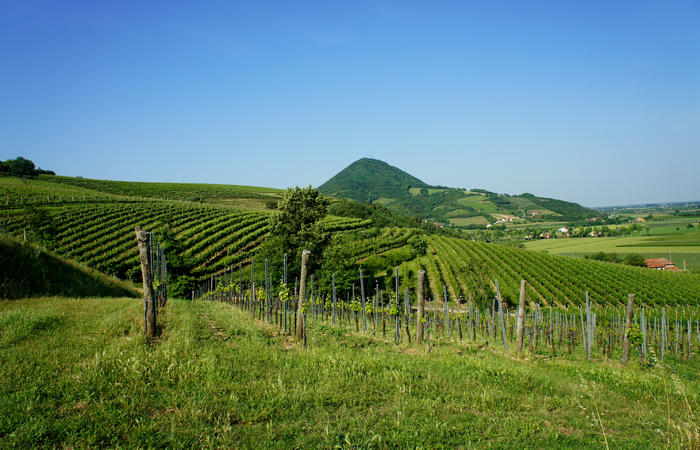 Colli Euganei, giro cicloturistico settore ovest, Vo Valnogaredo Fontanafredda Cinto Euganeo Lozzo Atestino Valbona