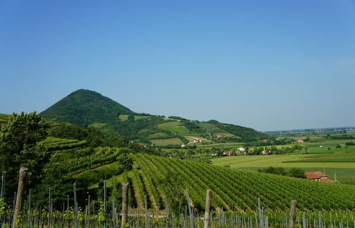 Colli Euganei, giro cicloturistico settore ovest, Vo Valnogaredo Fontanafredda Cinto Euganeo Lozzo Atestino Valbona