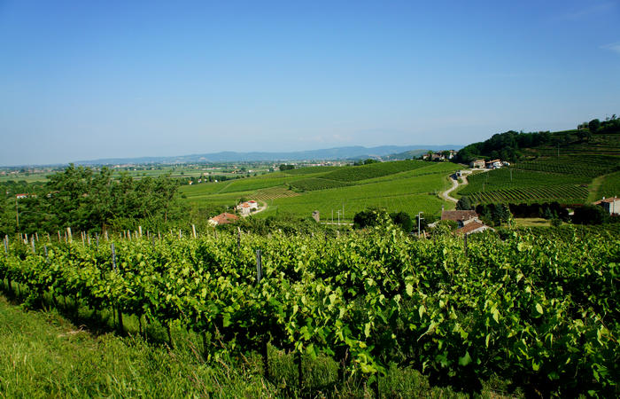 Colli Euganei, giro cicloturistico settore ovest, Vo Valnogaredo Fontanafredda Cinto Euganeo Lozzo Atestino Valbona