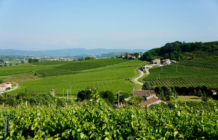 Colli Euganei, giro cicloturistico settore ovest, Vo Valnogaredo Fontanafredda Cinto Euganeo Lozzo Atestino Valbona
