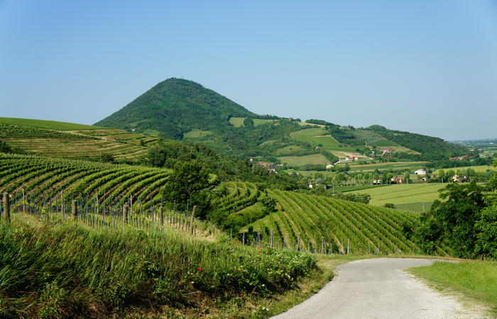 Colli Euganei, giro cicloturistico settore ovest, Vo Valnogaredo Fontanafredda Cinto Euganeo Lozzo Atestino Valbona