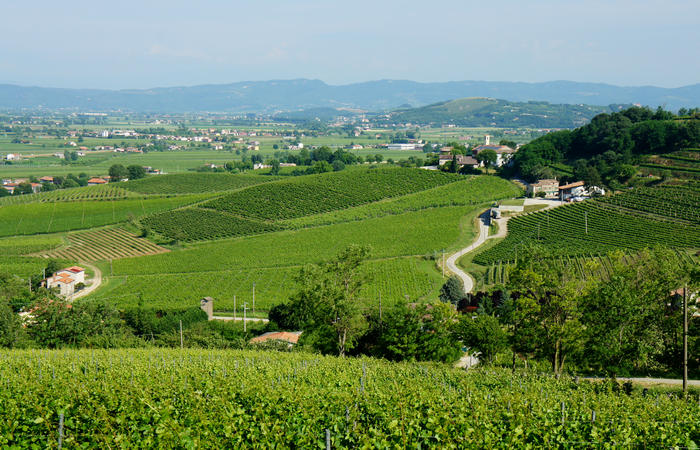 Colli Euganei, giro cicloturistico settore ovest, Vo Valnogaredo Fontanafredda Cinto Euganeo Lozzo Atestino Valbona