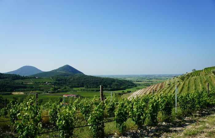 Colli Euganei, giro cicloturistico settore ovest, Vo Valnogaredo Fontanafredda Cinto Euganeo Lozzo Atestino Valbona