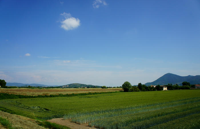 Colli Euganei, giro cicloturistico settore ovest, Vo Valnogaredo Fontanafredda Cinto Euganeo Lozzo Atestino Valbona