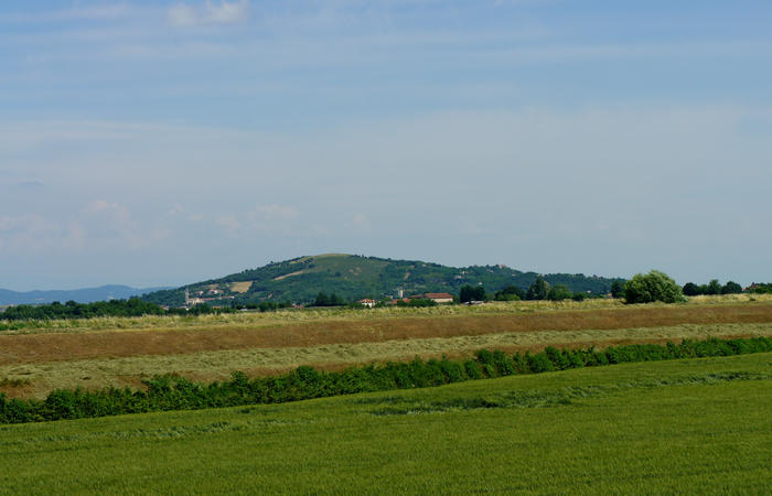 Colli Euganei, giro cicloturistico settore ovest, Vo Valnogaredo Fontanafredda Cinto Euganeo Lozzo Atestino Valbona