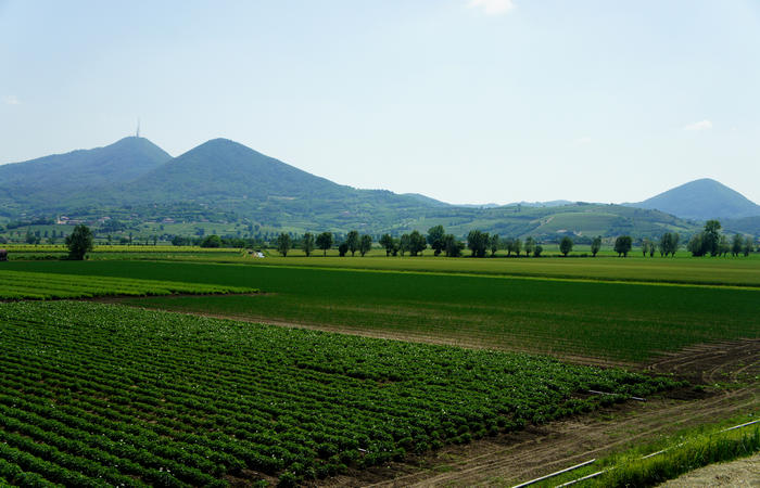 Colli Euganei, giro cicloturistico settore ovest, Vo Valnogaredo Fontanafredda Cinto Euganeo Lozzo Atestino Valbona