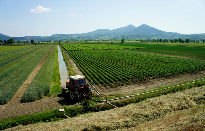 Colli Euganei, giro cicloturistico settore ovest, Vo Valnogaredo Fontanafredda Cinto Euganeo Lozzo Atestino Valbona