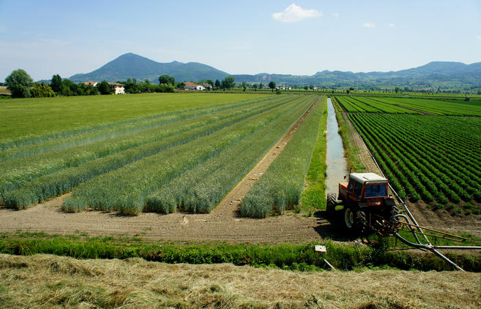 Colli Euganei, giro cicloturistico settore ovest, Vo Valnogaredo Fontanafredda Cinto Euganeo Lozzo Atestino Valbona