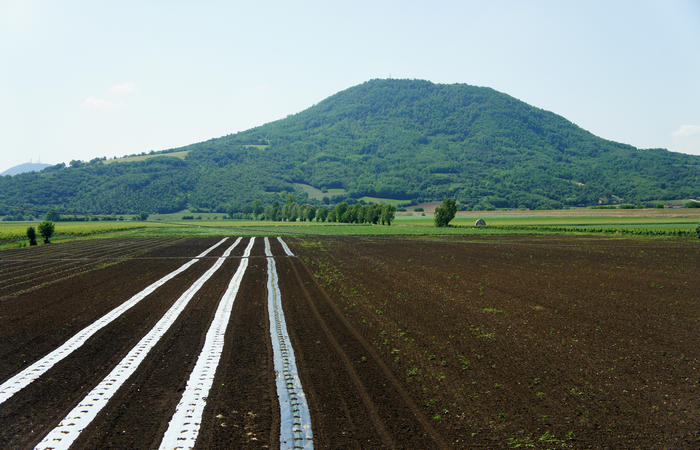 Colli Euganei, giro cicloturistico settore ovest, Vo Valnogaredo Fontanafredda Cinto Euganeo Lozzo Atestino Valbona