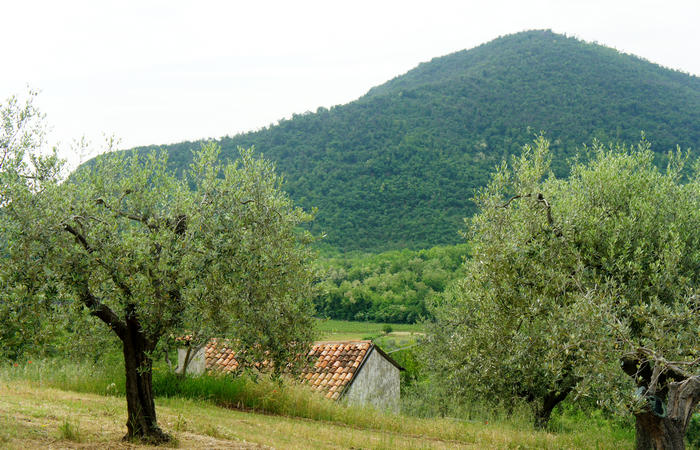 Colli Euganei, giro cicloturistico settore sud-est, Battaglia Terme, Arquà Petrarca, Monselice, Castello del Catajo