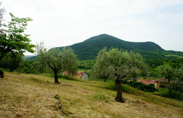 Colli Euganei, giro cicloturistico settore sud-est, Battaglia Terme, Arquà Petrarca, Monselice, Castello del Catajo