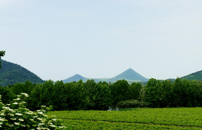 Colli Euganei, giro cicloturistico settore sud-est, Battaglia Terme, Arquà Petrarca, Monselice, Castello del Catajo