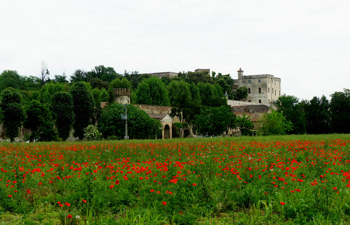Colli Euganei, giro cicloturistico settore sud-est, Battaglia Terme, Arquà Petrarca, Monselice, Castello del Catajo