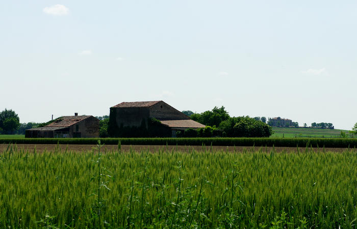 Colli Euganei, giro cicloturistico settore sud, Baone Este Calaone monte Cecilia Ca'Barbaro