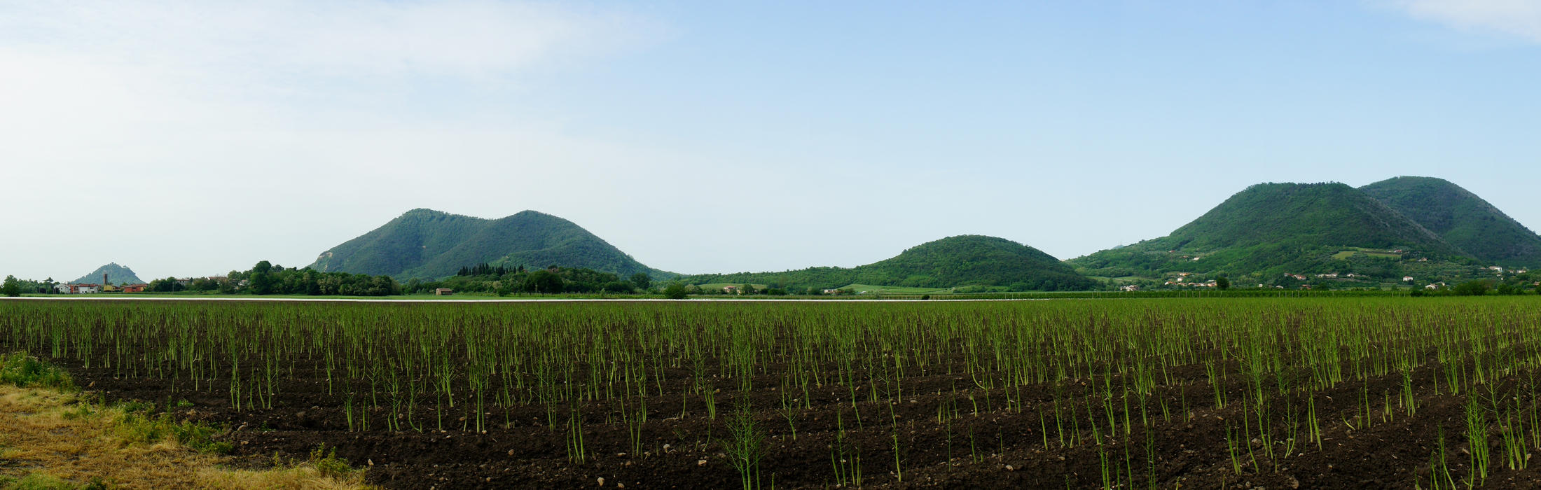 Castello della Lispida verso Monticelli
