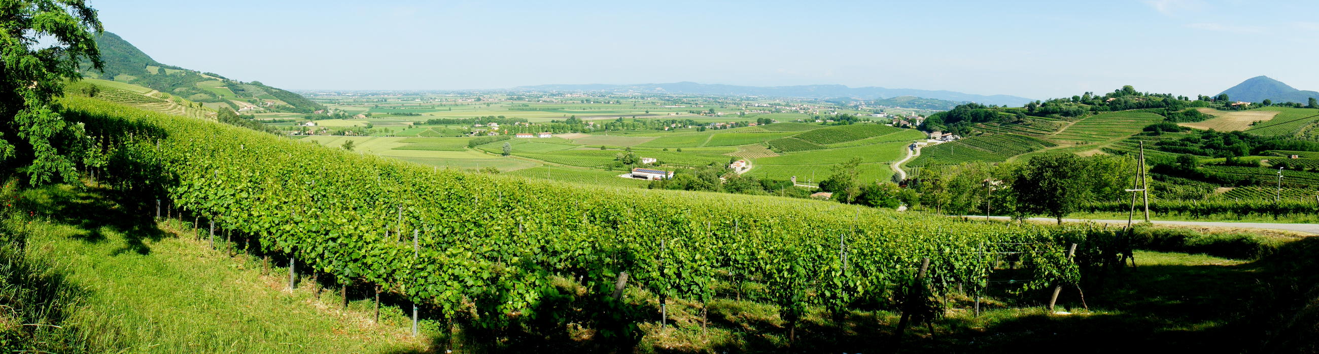 da Cortelà verso Vò, sulla sinistra il monte di Lozzo, sullo sfondo i colli Berici