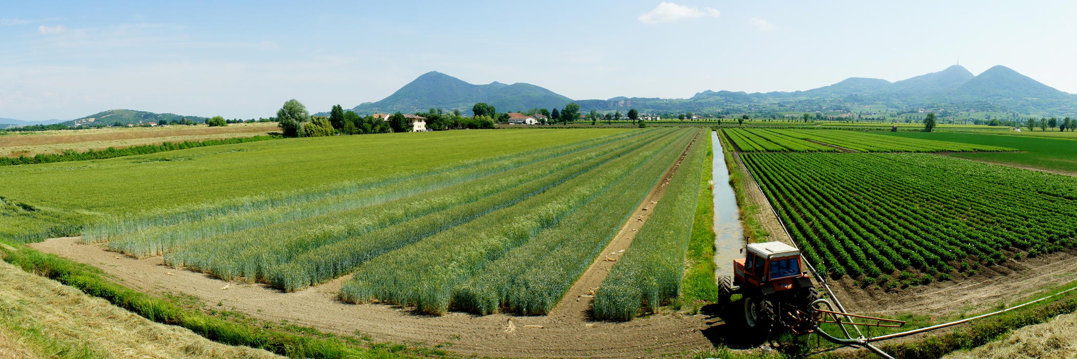 la campagna di Vo con il monte Madonna e il monte Venda