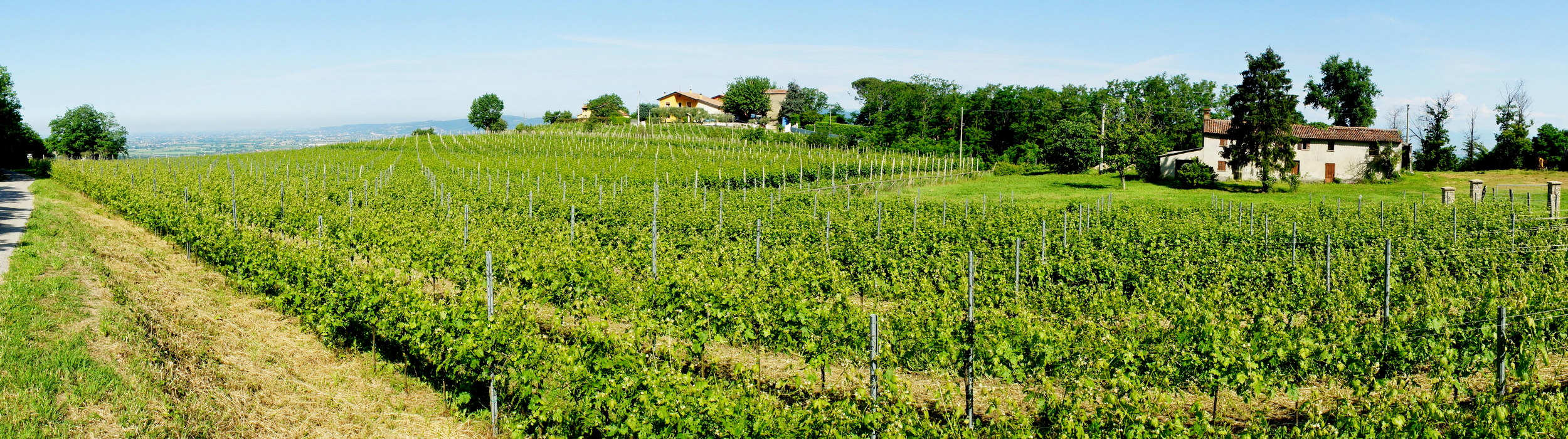 San Pietro di Rovolon