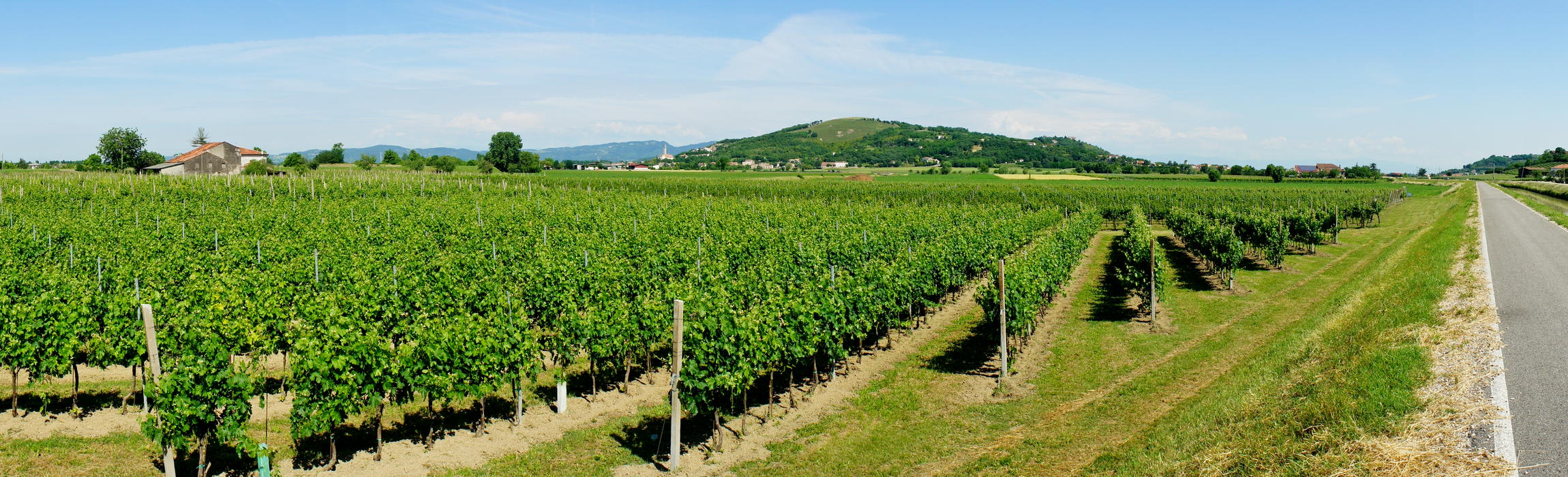 pianura e colle di Lovertino di Albettone