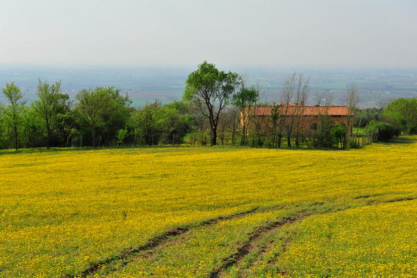 passeggiata Monte di Lozzo Atestino e Castello di Valbona, Colli Euganei