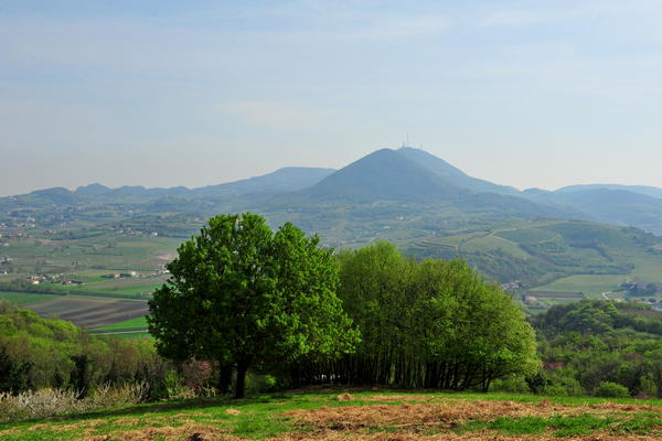 passeggiata Monte di Lozzo Atestino e Castello di Valbona, Colli Euganei