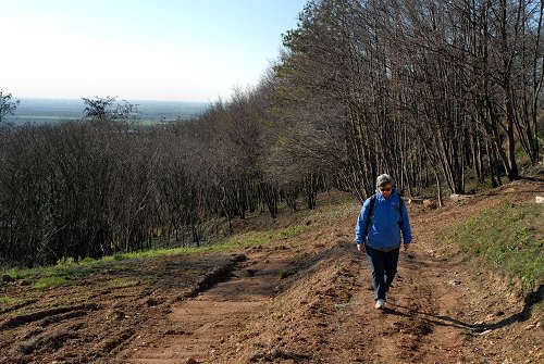 Monte di Lozzo Atestino, Parco Naturale Regionale dei Colli Euganei