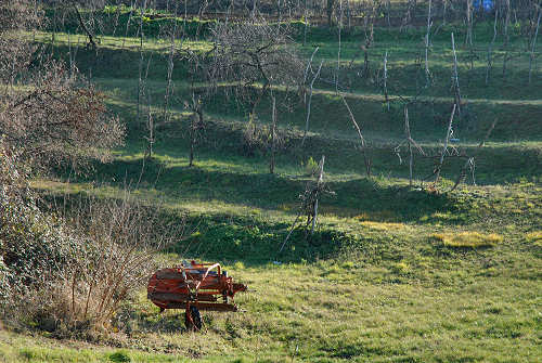 Monte di Lozzo Atestino, Parco Naturale Regionale dei Colli Euganei